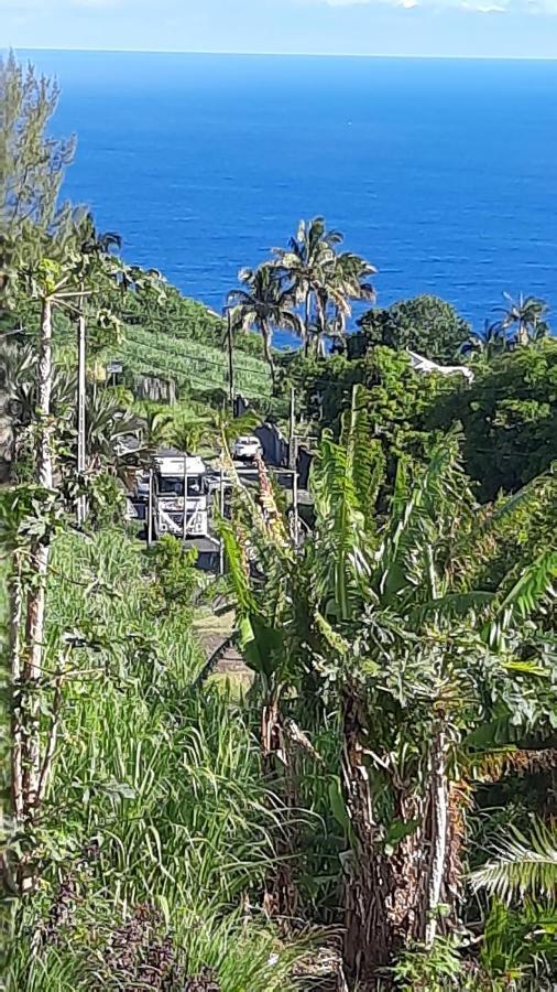 Chambre Vue Sur Mer Entre Grande Anse Et Manapany Петит-Иль Экстерьер фото